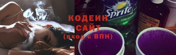 дурь Бородино