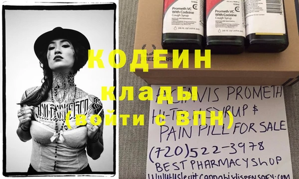дурь Бородино