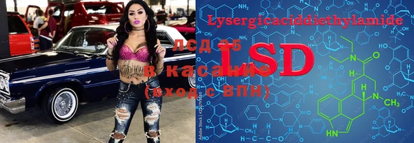 дурь Бородино