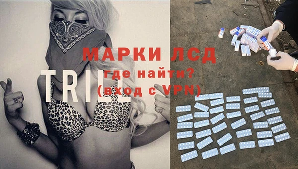 дурь Бородино