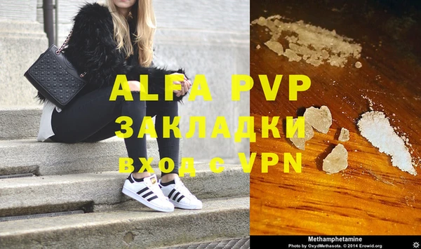 дурь Бородино